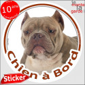 Bully, sticker voiture "Chien à Bord" 14 cm