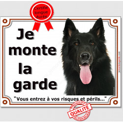 Berger belge Groenendael Tête, Plaque portail Je Monte la Garde, panneau affiche pancarte, risques périls attention au chien