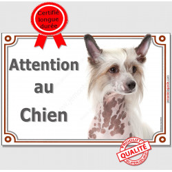 Plaque portail LUXE Attention au Chien, Chien Nu Chinois à Crête Tête, panneau pancarte photo affiche