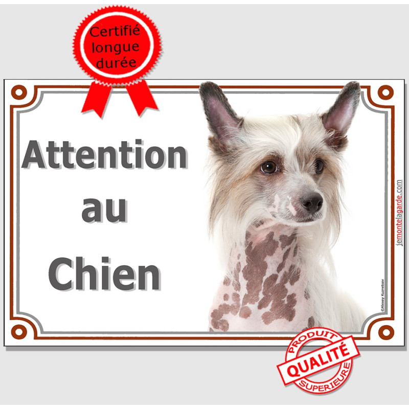 Chien Nu Chinois à Crête Tête, plaque portail photo "Attention au Chien" résiste pluie soleil gel, idée cadeau Chien Nu Chinois à Crête Tête, plaque portail photo "Attention au Chien" résiste pluie soleil gel, idée cadeau