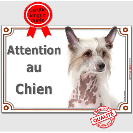 Chien Nu Chinois à Crête Tête, plaque portail photo "Attention au Chien" résiste pluie soleil gel, idée cadeau