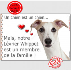 Lévrier Whippet Tête, plaque Portail "Attention, un chien est un membre de la famille" affiche panneau pancarte