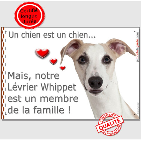 Plaque photo "Notre Lévrier Whippet est un membre de la Famille" résiste pluie soleil gel, idée cadeau, 2 tailles D Plaque photo "Notre Lévrier Whippet est un membre de la Famille" résiste pluie soleil gel, idée cadeau, 2 tailles D