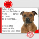 Staffie Fauve, plaque humour "distance Niche - Portail" 24 cm