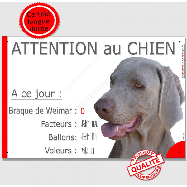 Braque de Weimar plaque portail humour "Attention au Chien, Nombre de Voleurs, ballons, facteurs" pancarte photo drôle