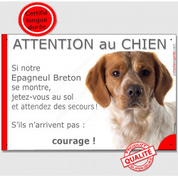 Epagneul Breton orange marron et blanc tête, plaque humour "Jetez Vous au Sol, Attention au Chien, courage" panneau pancarte drô