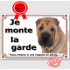 Shar-Peï fauve Tête, plaque portail "Je Monte la Garde, risques et périls" pancarte attention au chien photo