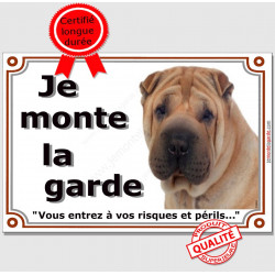 Shar-Peï fauve Tête, plaque portail "Je Monte la Garde, risques et périls" pancarte attention au chien photo