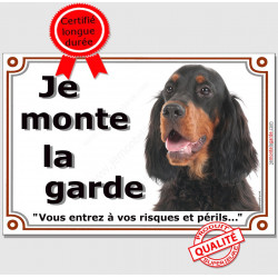 Setter Gordon tête, plaque portail "Je Monte la Garde, risques et périls" pancarte attention au chien panneau photo