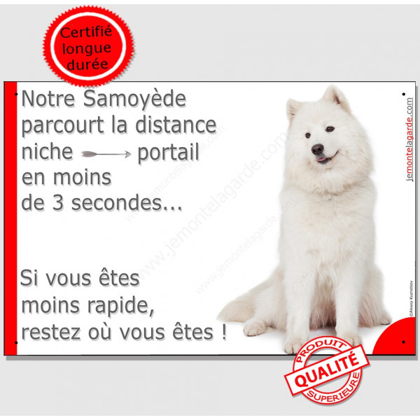 Samoyède assis, plaque humour "parcourt Distance Niche - Portail moins de 3 secondes" pancarte attention au chien photo