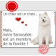 Plaque Samoyède Assis Portail Attention "un chien est un Membre de la Famille" affiche panneau entier photo