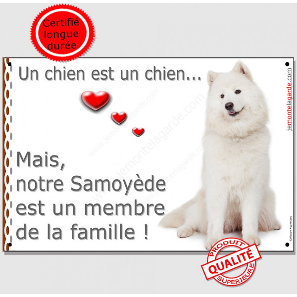 Plaque Samoyède Assis Portail Attention "un chien est un Membre de la Famille" affiche panneau entier photo