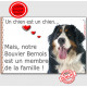 Bouvier Bernois Tête, Plaque "un chien est un membre de la famille" pancarte, affiche panneau photo