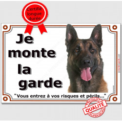 Berger Belge Malinois Tête, plaque portail "Je Monte la Garde, risques et périls" pancarte panneau sombre foncé photo