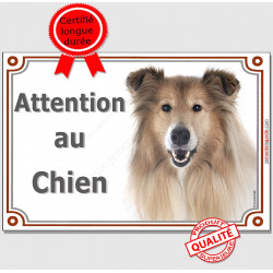 Colley Tête, plaque portail "Attention au Chien" 2 tailles LUX D