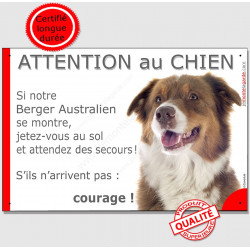 Berger Australien Tricolore Rouge, Panneau humour "Attention au Chien jetez-vous au sol et attendez" marrant drôle, affiche plaq