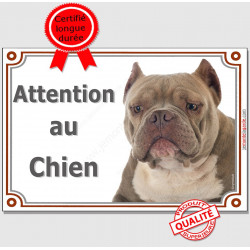 American Bully red nose Tête, plaque portail "Attention au Chien" pancarte panneau oreilles coupées photo