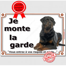 Rottweiler Couché, plaque portail "Je Monte la Garde, risques et périls" panneau pancarte photo rott entier rotweiler attention 