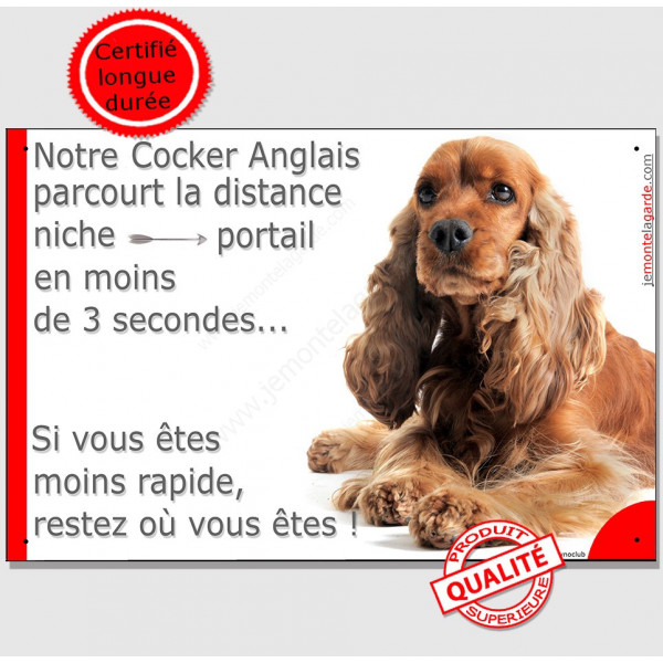 Cocker Golden roux spaniel couché, plaque humour "Distance Niche - Portail en moins de 3 secondes" pancarte panneau drôle photo