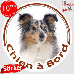 Berger Shetland bleu merle, sticker autocollant rond "Chien à Bord" Disque adhésif vitre voiture photo