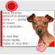 Pinscher Fauve, plaque humour "parcourt distance Niche-Portail moins 3 secondes, rapide" pancarte photo attention au chien