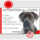 Cane Corso gris bleu tête, plaque humour "Attention au Chien, Jetez Vous au Sol" pancarte panneau drôle photo