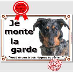 Beauceron Arlequin, plaque portail "Je Monte la Garde, risques et périls" Berger Beauce bleu merle pancarte attention au chien p