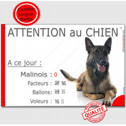 Berger Belge Malinois couché, plaque portail humour "Attention au Chien Nombre de Voleurs, ballons, facteurs" pancarte panneau
