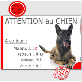 Berger Belge Malinois couché, plaque portail humour "Attention au Chien Nombre de Voleurs, ballons, facteurs" résiste pluie sole