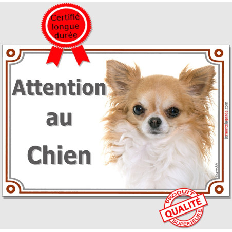 Chihuahua fauve et blanc à poils longs, plaque portail photo "Attention au Chien" 3 Tailles D