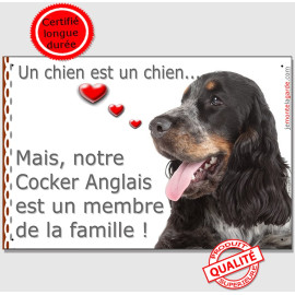 Cocker Anglais tricolore bleu roan et feu, Plaque Portail "un chien est un chien, membre de la famille" photo, résiste pluie sol