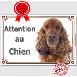 Cocker Golden, plaque portail "Attention au Chien" 24 cm LUX