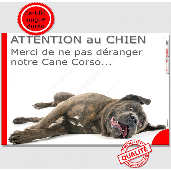 Plaque "Attention au Chien, Merci de ne pas déranger notre Cane Corso" 24 cm Italiano bringé pancarte humour panneau photo