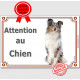 Shetland Merle Assis, Plaque portail "Attention au Chien" panneau affiche pancarte photo