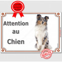 Shetland Merle, plaque "Attention au Chien" 2 tailles LUX C