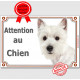Westie Tête, plaque "Attention au Chien" pancarte panneau West Highland White Terrier photo