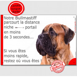 Bullmastiff fauve, plaque humour "parcourt distance niche portail moins 3 secondes, moins rapide" Attention chien photo