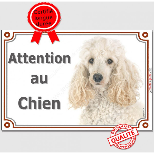 Caniche Blanc Tête, Plaque portail "Attention au chien" panneau affiche pancarte photo