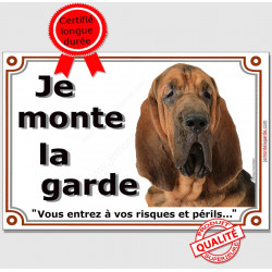 Saint-Hubert tête, plaque portail "Je Monte la Garde, risques et périls" pancarte attention au chien panneau photo