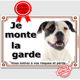 Bouledogue Américain blanc et bringé Tête, plaque portail "Je Monte la Garde, vous entrez à vos risques et périls" photo, résist