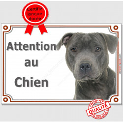 Staffie Bleu gris, Plaque portail "Attention au Chien", panneau affiche pancarte staffy photo Staffordshire Bull Terrier