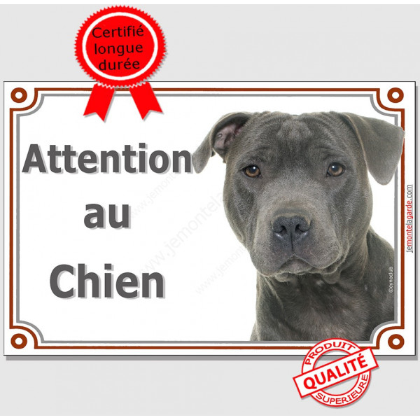 Staffie Bleu gris, Plaque portail "Attention au Chien", panneau affiche pancarte staffy photo Staffordshire Bull Terrier