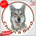 Chien Loup Saarloos, sticker voiture "Chien à Bord" 14 cm