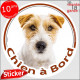 Sticker autocollant rond "Chien à Bord" 15 cm, Jack Russell Terrier blanc et fauve poils durs Tête, adhésif vitre voiture photo