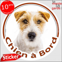 Sticker autocollant rond "Chien à Bord" 15 cm, Jack Russell Terrier blanc et fauve poils durs Tête, adhésif vitre voiture photo