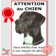 Dogue Allemand Noir, panneau portail "Attention au chien, risques et périls" photo danois plaque pancarte affiche