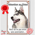 Husky gris Tête, plaque "Attention au Chien" 24 cm VL-A