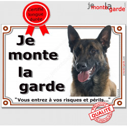 Berger Belge Malinois Tête, plaque portail "Je Monte la Garde, risques et périls" pancarte panneau foncé sombre attention photo