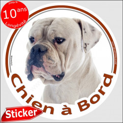 Bouledogue Américain, sticker "Chien à Bord" 15 cm