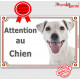  Jack Russell Terrier entièrement blanc Tête, plaque portail 'Attention au Chien" pancarte panneau affiche photo